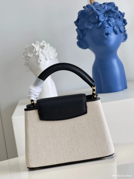 Aaa replica ru MINI LOUIS VUITTON CAPUCINES 0801